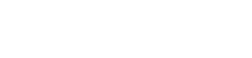 HRX Bespoke Motorsport